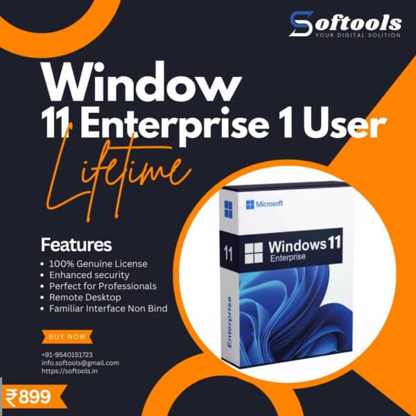 Window 11 Enterprise 1 user Lifetime